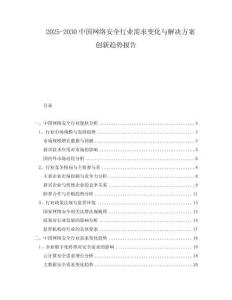 2025-2030中國網(wǎng)絡(luò)安全行業(yè)需求變化與解決方案創(chuàng)新趨勢(shì)報(bào)告