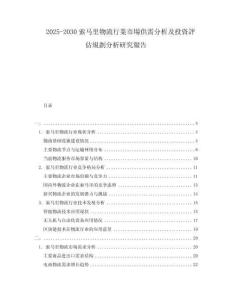 2025-2030索馬里物流行業(yè)市場供需分析及投資評估規(guī)劃分析研究報告