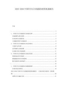 2025-2030中國汽車后市場服務(wù)投資機遇報告