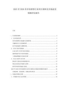 2025至2030多井鉆探墊行業(yè)項(xiàng)目調(diào)研及市場前景預(yù)測評估報(bào)告