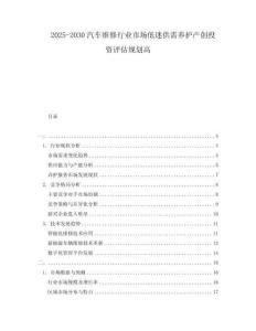 2025-2030汽車維修行業(yè)市場低迷供需養(yǎng)護產(chǎn)創(chuàng)投資評估規(guī)劃高