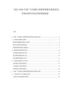 2025-2030中國廣告?zhèn)髅叫袠I(yè)媒體資源市場需求競爭格局研究評估發(fā)展策略規(guī)劃