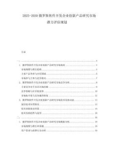2025-2030俄羅斯軟件開發(fā)企業(yè)創(chuàng)新產品研究市場潛力評估規(guī)劃