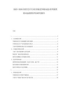 2025-2030閃存芯片行業(yè)市場(chǎng)競(jìng)爭(zhēng)格局技術(shù)革新供需動(dòng)態(tài)投資評(píng)估研究報(bào)告
