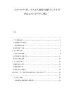 2025-2030中國工業(yè)機器人視覺識別技術(shù)行業(yè)市場供需與發(fā)展趨勢評估報告