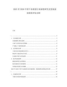2025至2030中國下水坡道行業(yè)深度研究及發(fā)展前景投資評估分析