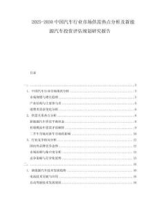 2025-2030中國(guó)汽車(chē)行業(yè)市場(chǎng)供需熱點(diǎn)分析及新能源汽車(chē)投資評(píng)估規(guī)劃研究報(bào)告