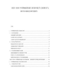 2025-2030中國物流快遞行業(yè)效率提升方案探討與新興市場機(jī)會研究報告