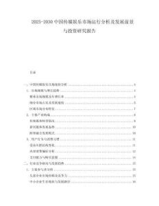 2025-2030中國傳媒娛樂市場運行分析及發(fā)展前景與投資研究報告