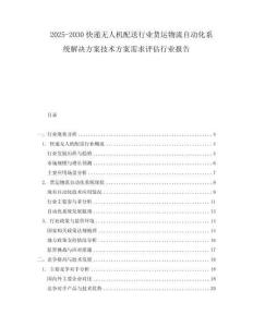 2025-2030快遞無人機配送行業(yè)貨運物流自動化系統解決方案技術方案需求評估行業(yè)報告