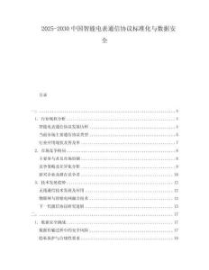 2025-2030中國智能電表通信協(xié)議標(biāo)準(zhǔn)化與數(shù)據(jù)安全