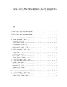 2025中國(guó)折疊屏手機(jī)市場(chǎng)現(xiàn)狀及技術(shù)發(fā)展前景報(bào)告
