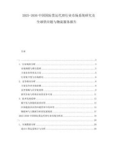 2025-2030中國國際貨運代理行業(yè)市場系統(tǒng)研究及全球供應(yīng)鏈與物流服務(wù)報告