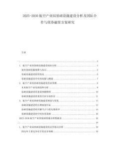 2025-2030航空產(chǎn)業(yè)園基礎(chǔ)設(shè)施建設(shè)分析及國際合作與債券融資方案研究