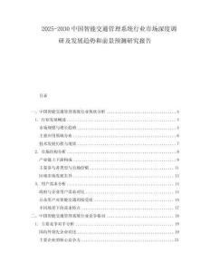 2025-2030中國(guó)智能交通管理系統(tǒng)行業(yè)市場(chǎng)深度調(diào)研及發(fā)展趨勢(shì)和前景預(yù)測(cè)研究報(bào)告