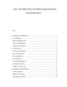 2025-2030鋼鐵冶煉行業(yè)市場供需態(tài)勢及發(fā)展前景評估規(guī)劃研究報告
