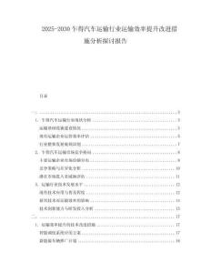 2025-2030乍得汽車運(yùn)輸行業(yè)運(yùn)輸效率提升改進(jìn)措施分析探討報(bào)告