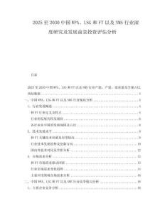 2025至2030中國(guó)WPA、LSG和FT以及NMS行業(yè)深度研究及發(fā)展前景投資評(píng)估分析