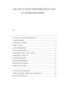 2025-2030空天信息產(chǎn)業(yè)園市場(chǎng)前景分析及衛(wèi)星應(yīng)用與軍民融合投資研究報(bào)告
