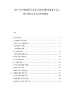 2025-2030路邊監(jiān)控?cái)z像頭采購分析交通違法取證效率評估設(shè)備全集管理規(guī)劃