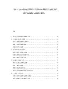 2025-2030擁有美國航空運輸業(yè)市場供需分析及投資評估規(guī)劃分析研究報告