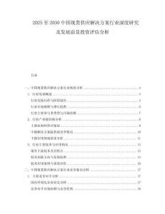 2025至2030中國現貨供應解決方案行業深度研究及發展前景投資評估分析