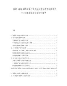 2025-2030鋼鐵冶金行業(yè)市場(chǎng)分析及投資風(fēng)險(xiǎn)評(píng)估與行業(yè)未來(lái)發(fā)展計(jì)劃研究報(bào)告