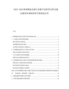 2025-2030歐洲物流倉儲行業(yè)數字化轉型分析交通運輸效率調研投資升級規(guī)劃文件