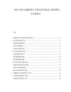 2025-2030金融租賃公司資本運(yùn)作模式與盈利增長點(diǎn)分析報(bào)告