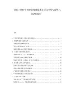 2025-2030中國智能駕駛技術(shù)商業(yè)化應(yīng)用與投資風(fēng)險(xiǎn)評估報(bào)告