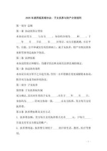 2025年通用版離婚協(xié)議：子女撫養(yǎng)與財(cái)產(chǎn)分割細(xì)則