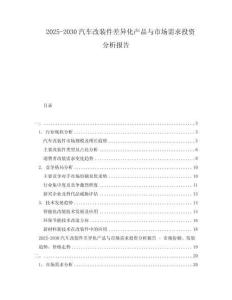 2025-2030汽車改裝件差異化產(chǎn)品與市場(chǎng)需求投資分析報(bào)告