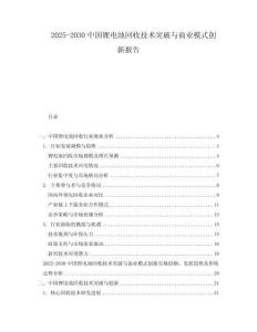2025-2030中國(guó)鋰電池回收技術(shù)突破與商業(yè)模式創(chuàng)新報(bào)告