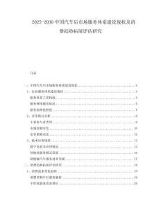 2025-2030中國汽車后市場服務體系建設現狀及消費趨勢拓展評估研究