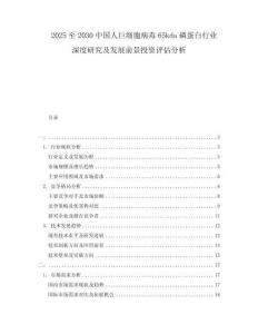 2025至2030中國(guó)人巨細(xì)胞病毒65kda磷蛋白行業(yè)深度研究及發(fā)展前景投資評(píng)估分析