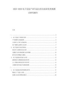 2025-2030電子競(jìng)技產(chǎn)業(yè)生態(tài)完善及商業(yè)化變現(xiàn)模式研究報(bào)告