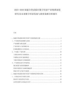 2025-2030福建自貿(mào)試驗(yàn)區(qū)數(shù)字經(jīng)濟(jì)產(chǎn)業(yè)集群深度研究及未來(lái)數(shù)字經(jīng)濟(jì)發(fā)展與投資策略分析報(bào)告