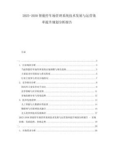 2025-2030智能停車(chē)場(chǎng)管理系統(tǒng)技術(shù)發(fā)展與運(yùn)營(yíng)效率提升規(guī)劃分析報(bào)告