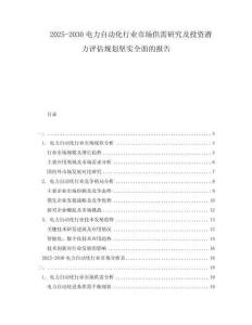 2025-2030電力自動化行業(yè)市場供需研究及投資潛力評估規(guī)劃堅實全面的報告