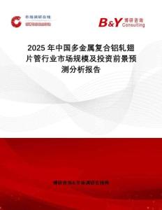 2025年中國(guó)多金屬?gòu)?fù)合鋁軋翅片管行業(yè)市場(chǎng)規(guī)模及投資前景預(yù)測(cè)分析報(bào)告