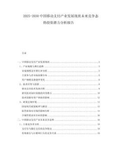 2025-2030中國(guó)移動(dòng)支付產(chǎn)業(yè)發(fā)展現(xiàn)狀未來(lái)競(jìng)爭(zhēng)態(tài)勢(shì)投資潛力分析報(bào)告