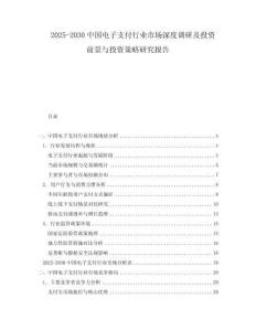 2025-2030中國(guó)電子支付行業(yè)市場(chǎng)深度調(diào)研及投資前景與投資策略研究報(bào)告