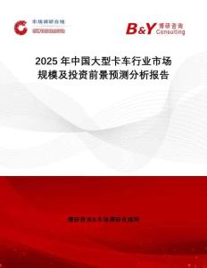 2025年中國(guó)大型卡車(chē)行業(yè)市場(chǎng)規(guī)模及投資前景預(yù)測(cè)分析報(bào)告