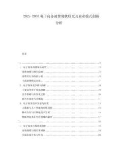 2025-2030電子商務(wù)消費(fèi)現(xiàn)狀研究及商業(yè)模式創(chuàng)新分析