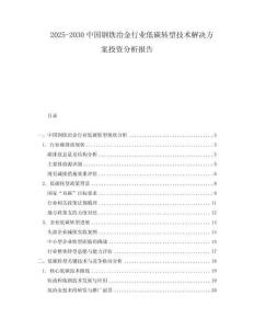 2025-2030中國(guó)鋼鐵冶金行業(yè)低碳轉(zhuǎn)型技術(shù)解決方案投資分析報(bào)告