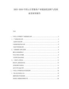 2025-2030中國云計(jì)算服務(wù)產(chǎn)業(yè)鏈深度剖析與發(fā)展前景展望報(bào)告