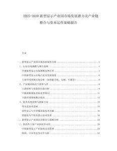 2025-2030新型顯示產(chǎn)業(yè)園市場發(fā)展?jié)摿爱a(chǎn)業(yè)鏈整合與資本運(yùn)作策略報(bào)告