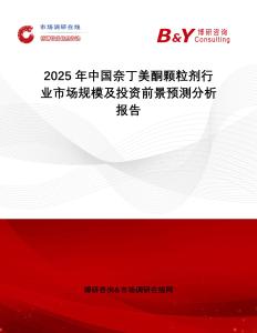 2025年中國奈丁美酮顆粒劑行業(yè)市場規(guī)模及投資前景預(yù)測分析報(bào)告