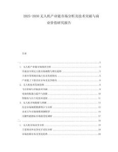 2025-2030無人機產業(yè)鏈市場分析及技術突破與商業(yè)價值研究報告