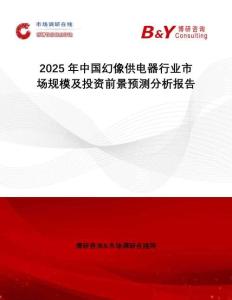 2025年中國幻像供電器行業(yè)市場規(guī)模及投資前景預(yù)測分析報(bào)告